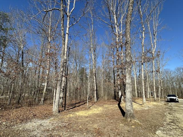 Land for sale in Tennessee