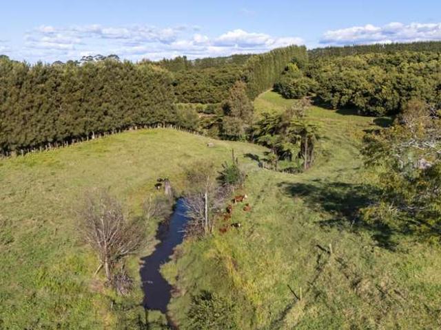 Property for sale in Katikati, Bay Of Plenty