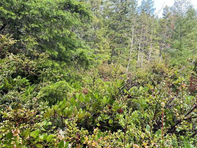 Land for sale in Quilcene, Washington