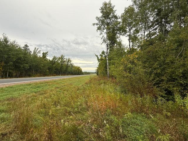 Land for sale in Solway, Beltrami County