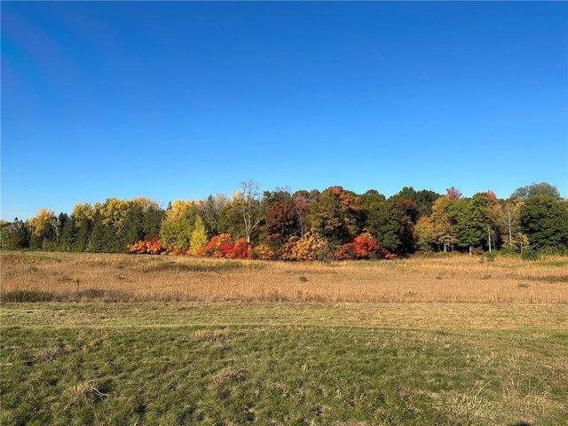 Land for sale in Lake City, Minnesota