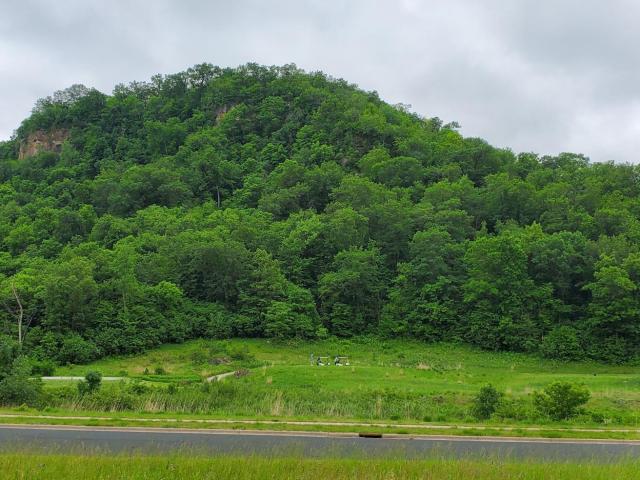 Land for sale in Lake City, Minnesota