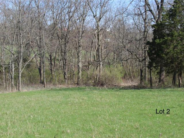Land for sale in Cynthiana, Kentucky