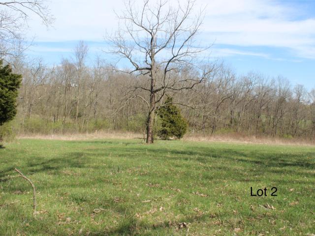 Land for sale in Cynthiana, Kentucky