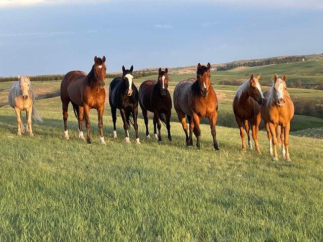 Farm for sale in Bennett, South Dakota