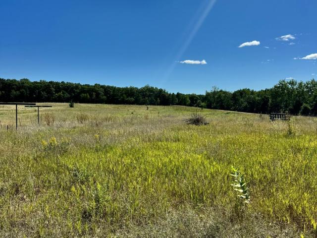 Land for sale in Hubbard, Minnesota