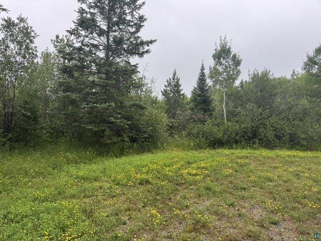 Land for sale in Two Harbors, Minnesota