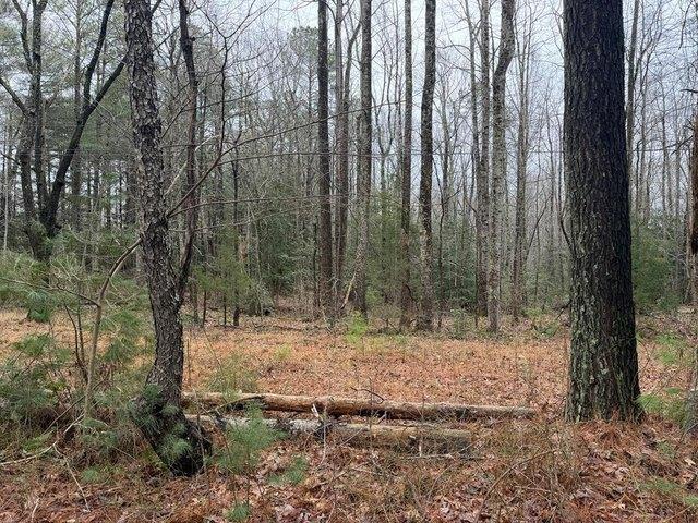 Land for sale in Virginia