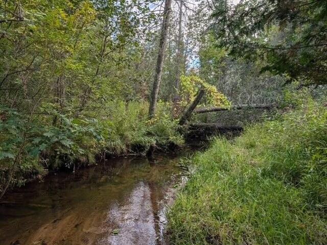 Land for sale in Reed City, Osceola County