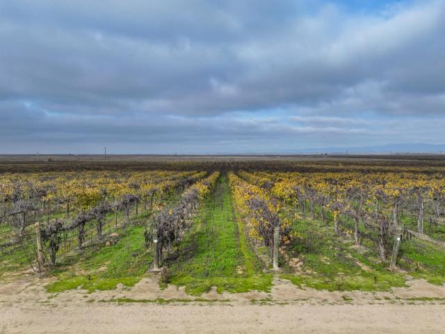 Land for sale in Madera, California