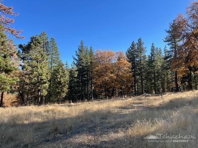 Land for sale in Tehachapi, Kern County