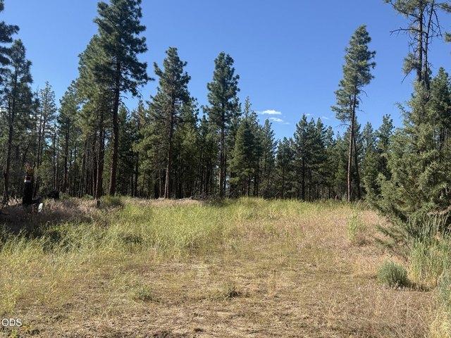 Land for sale in Oregonia