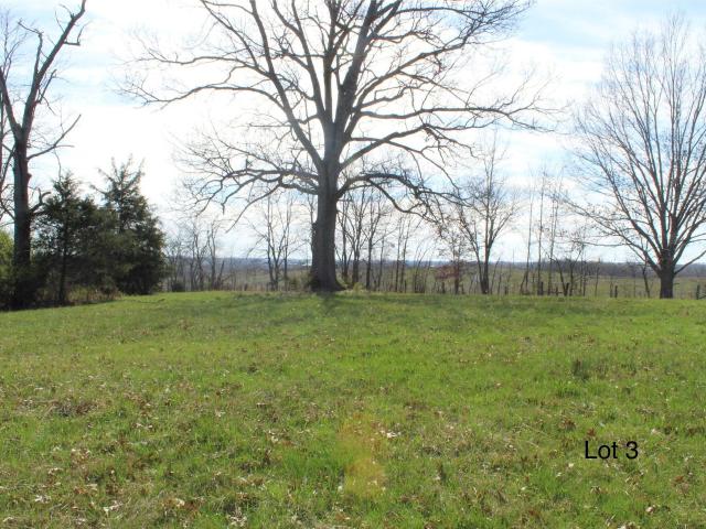 Land for sale in Cynthiana, Kentucky