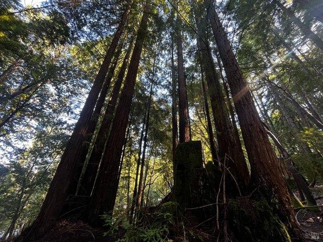 Land for sale in Willits, California