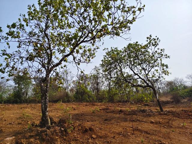 Land for sale in Ratnagiri, National Capital Territory Of Delhi