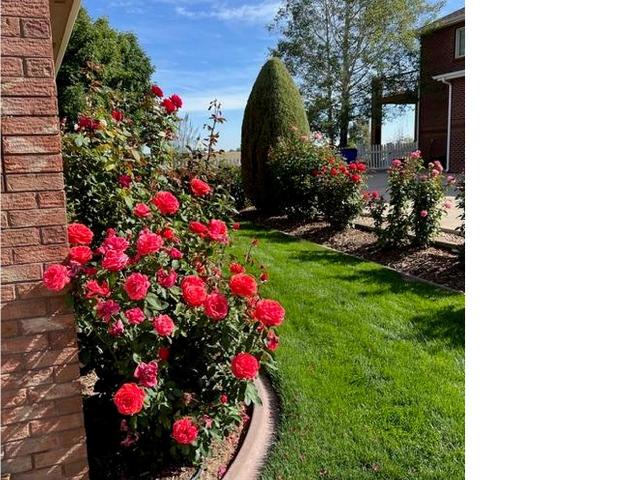 House for sale in Berthoud, Colorado