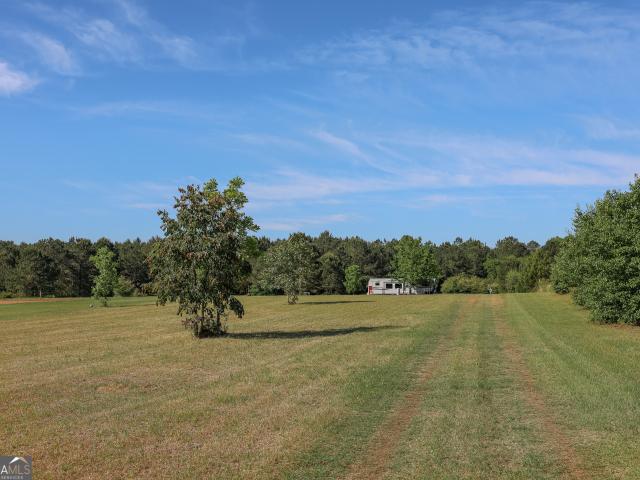 Land for sale in Georgia