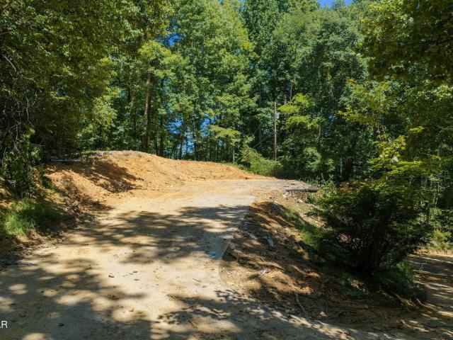 Land for sale in Pittman Center, East Tennessee