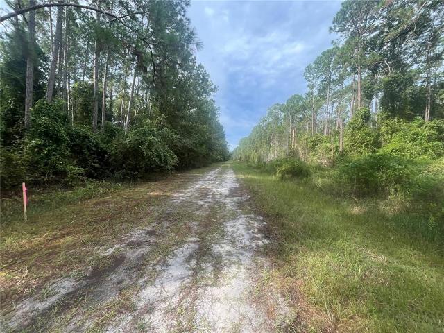 Land for sale in Florida