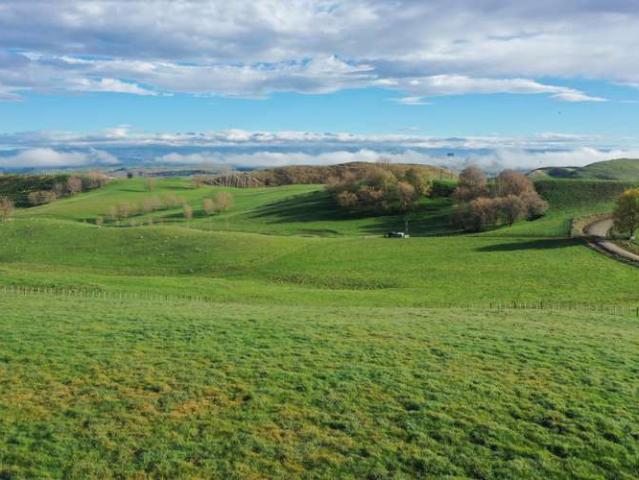 Land for sale in Waipukurau