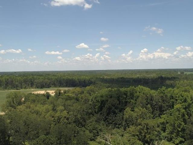 Land for sale in Reidsville, Georgia