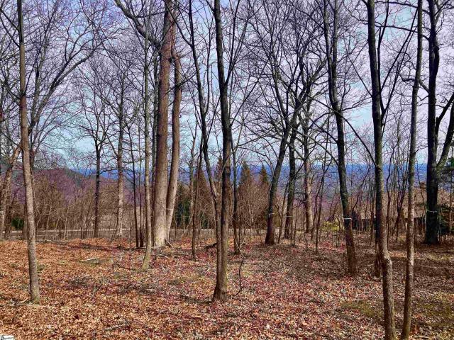 Land for sale in Landrum, South Carolina