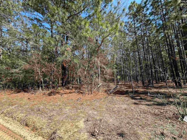 Land for sale in Sharpes Hill, Gaston