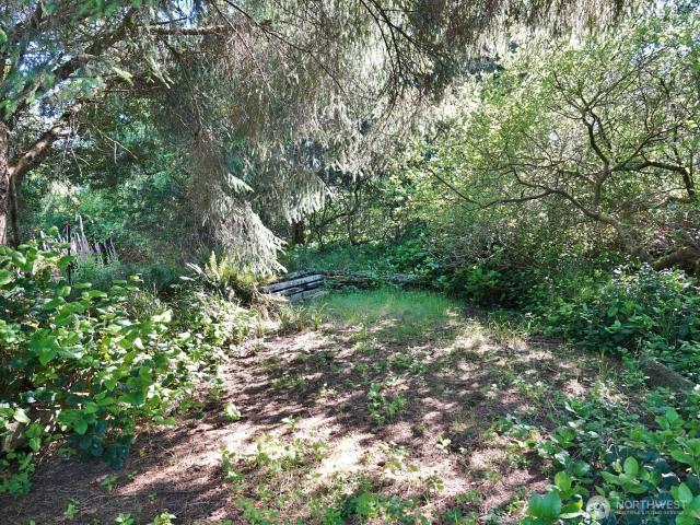 Land for sale in Ocean Shores, Washington