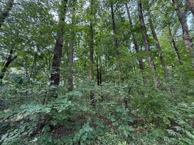 Land for sale in Winslow, Indiana