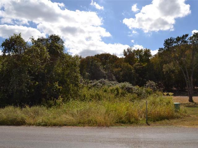 Land for sale in Hays, Texas