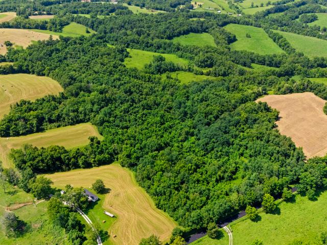 Land for sale in Paris, Kentucky