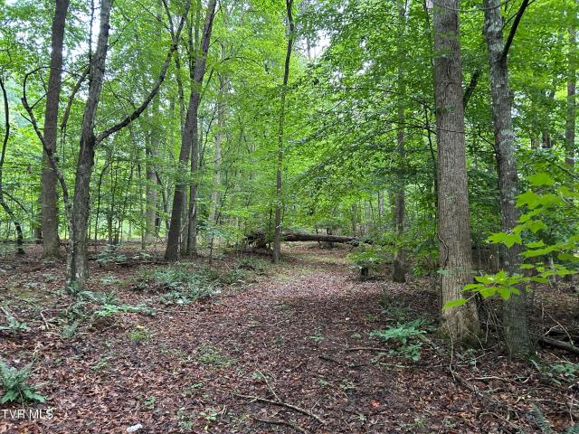 Land for sale in Tennessee