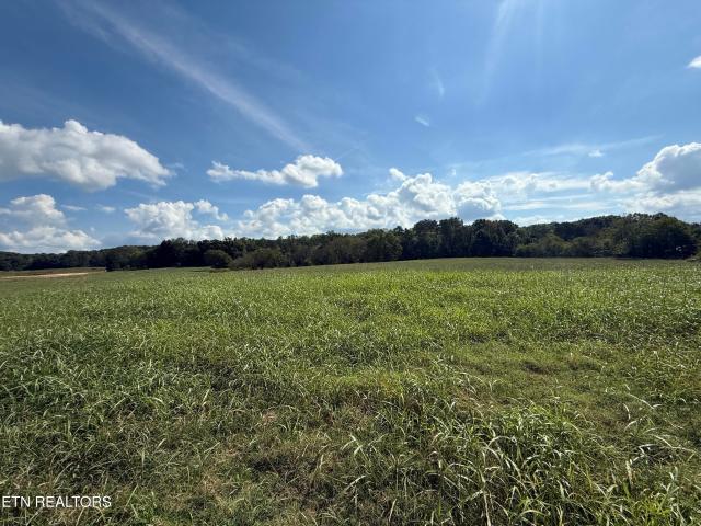 Land for sale in Martel, Lenoir City