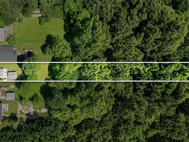 House for sale in Woodhaven, Michigan