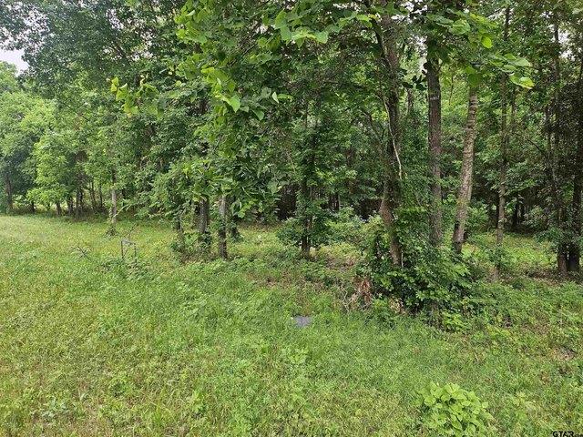 Land for sale in Overton, Texas