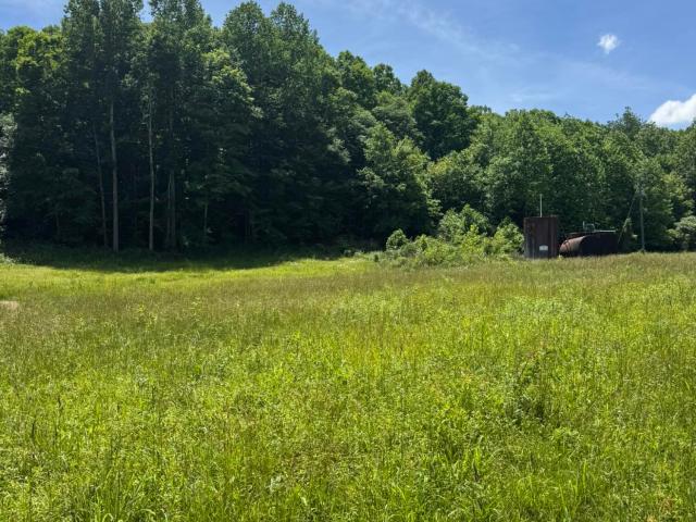 Land for sale in Russell Springs, Kentucky