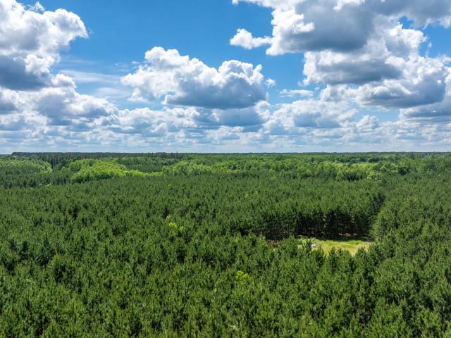 House for sale in Wadena, Minnesota
