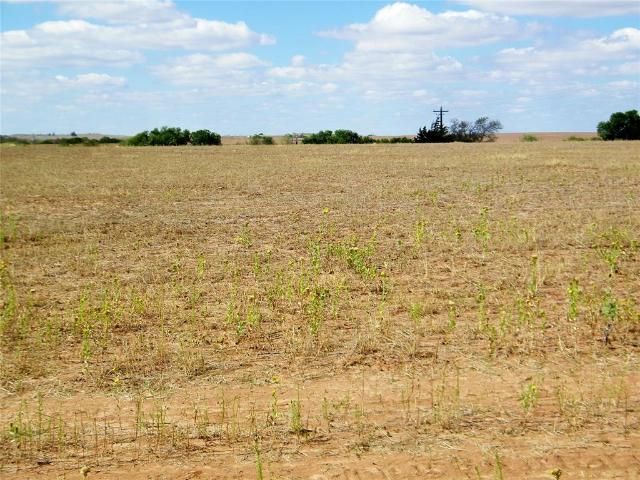 Land for sale in Taloga, Dewey County