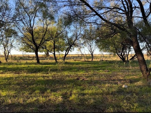 House for sale in Olney, Young County