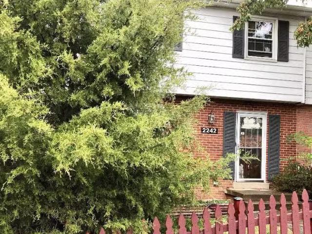 House for rent