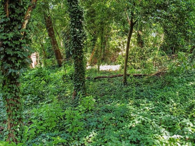 Land for sale in Atlanta, Georgia
