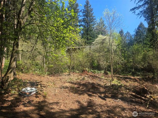 Land for sale in Thurston, Washington