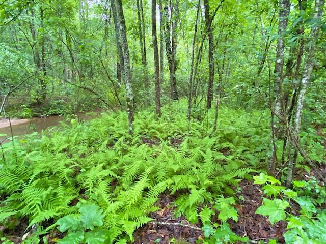 Land for sale in Ball Ground, Georgia