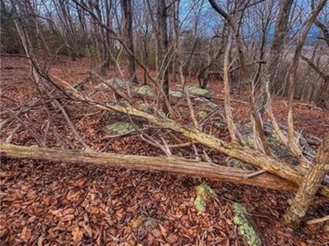 Land for sale in Davidson, North Carolina