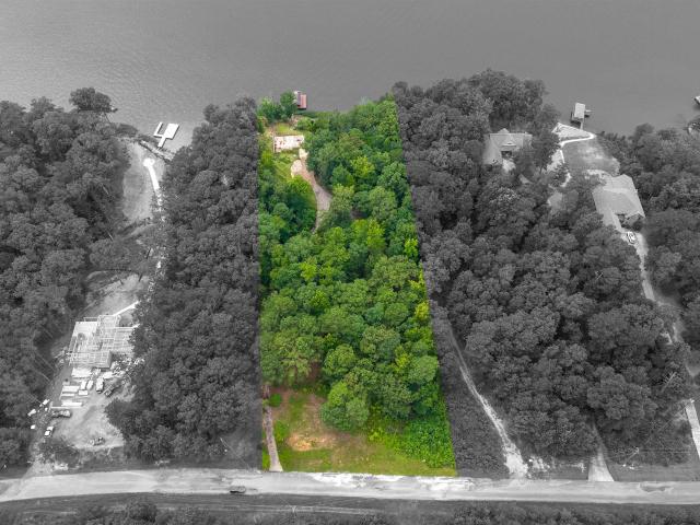 Land for sale in Alpine, Alabama