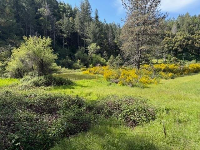 House for sale in Colfax, California