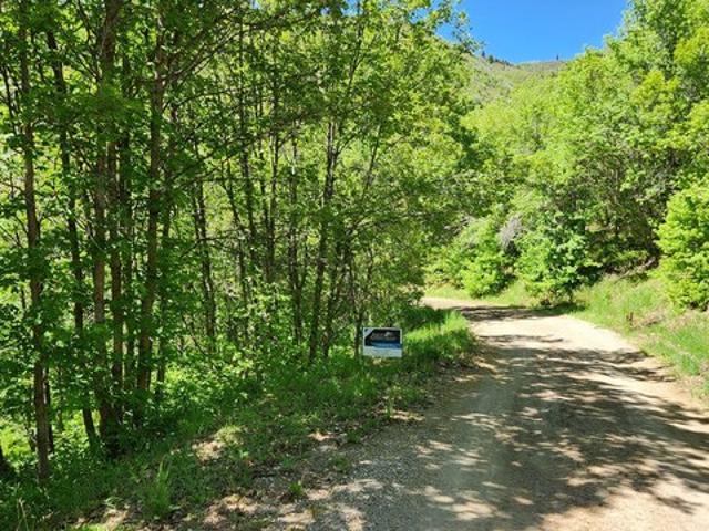 Land for sale in Fairview, Utah