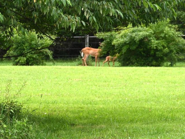 House for sale in Susquehanna