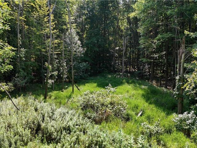 Land for sale in Columbia Station, Ohio