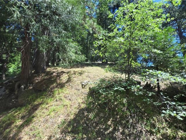 Land for sale in Cedarpines Park, California
